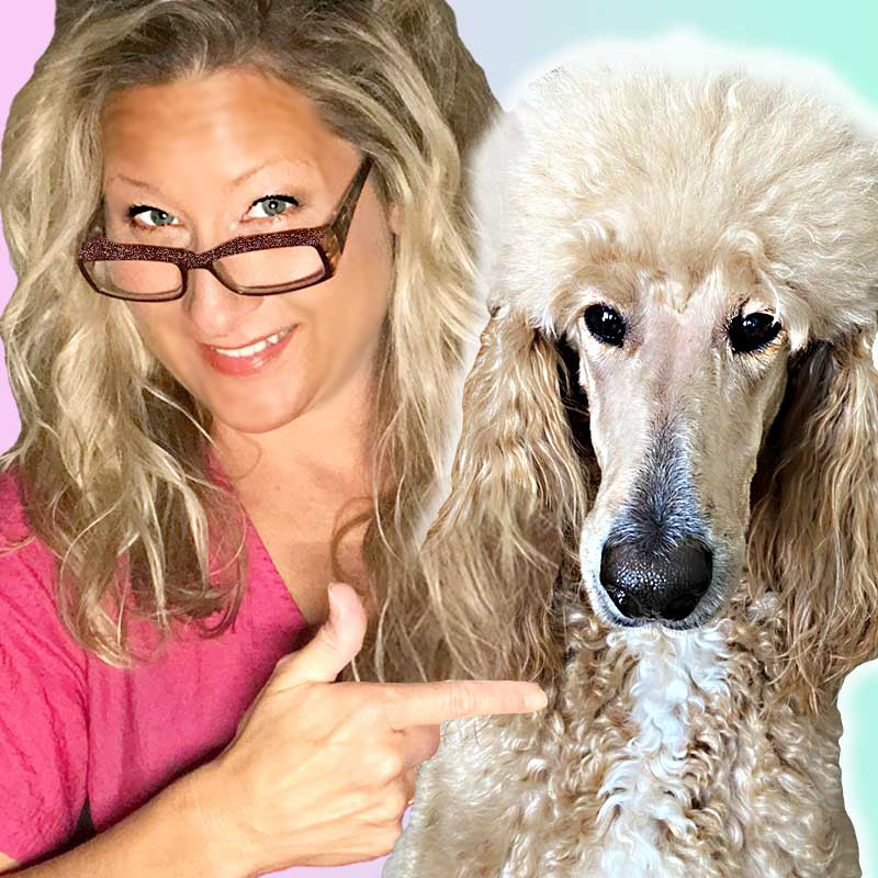 content creator, dog groomer, and dog grooming education